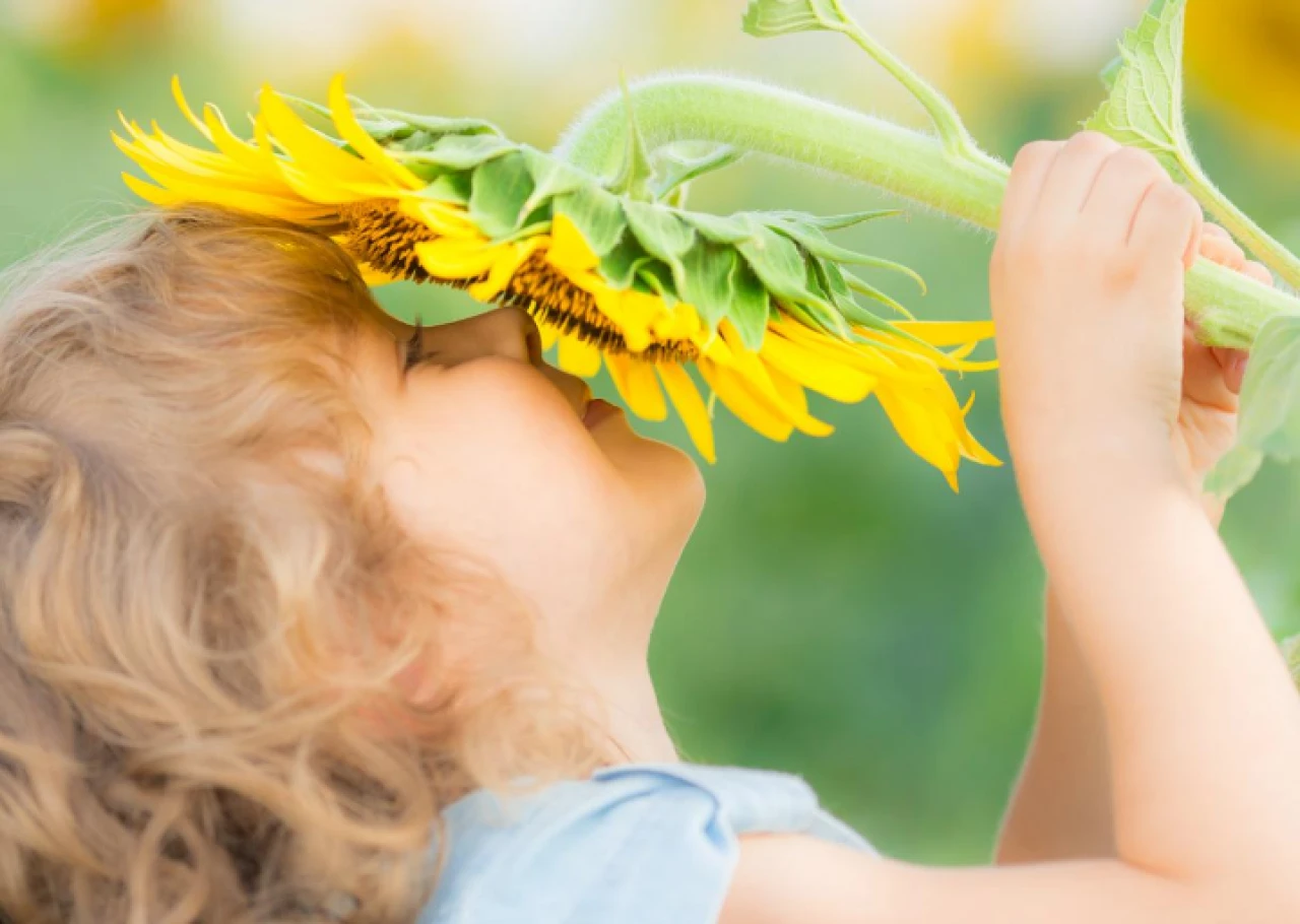 Safe Outdoor Products for Schools