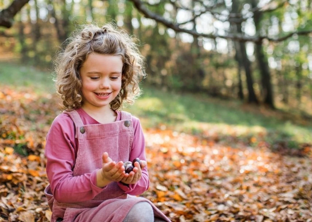 Messy Play Ideas for Autumn